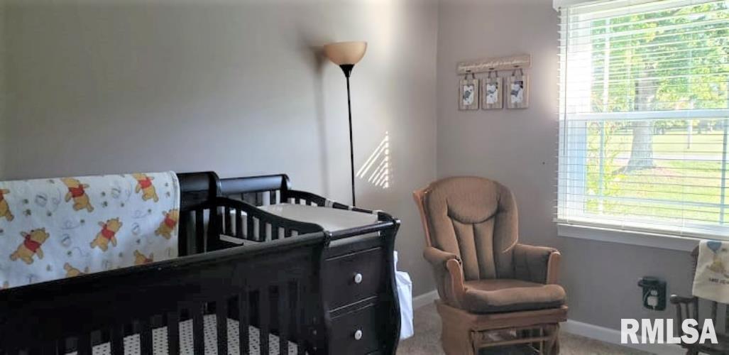 607 West Main Street Ewing, IL 62836 - Photo 27 of 28 Gallery Image 27