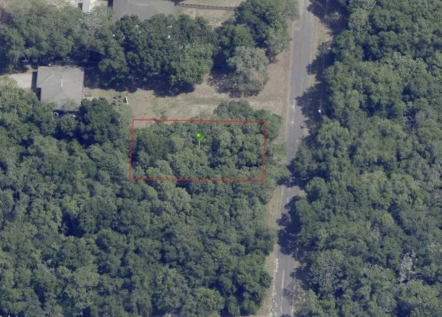 an aerial view of residential house with outdoor space and trees all around