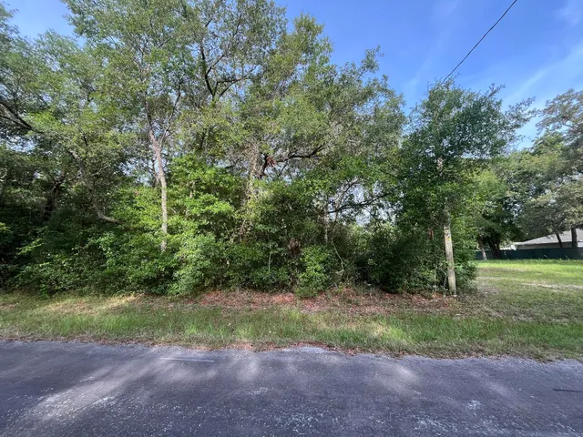 a view of a yard with a tree