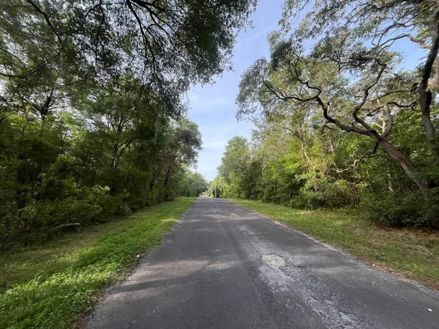 a view of a road with a yard