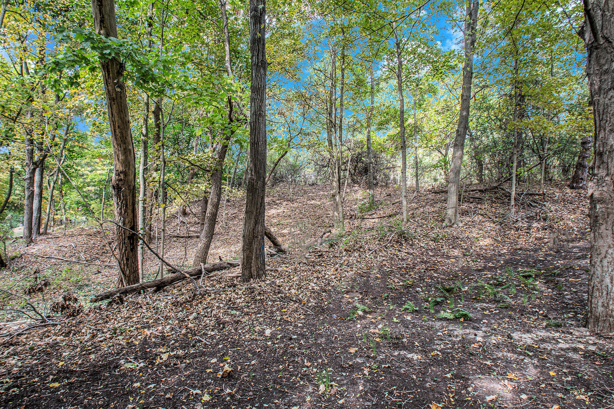 Vl # 1 South Dune Road Harbert, MI 49115 - Photo 6 of 6 dsc_1547_878