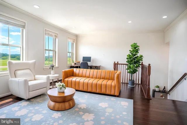 a living room with furniture or couch and a potted plant