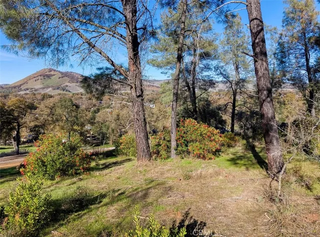a big yard with lots of green space