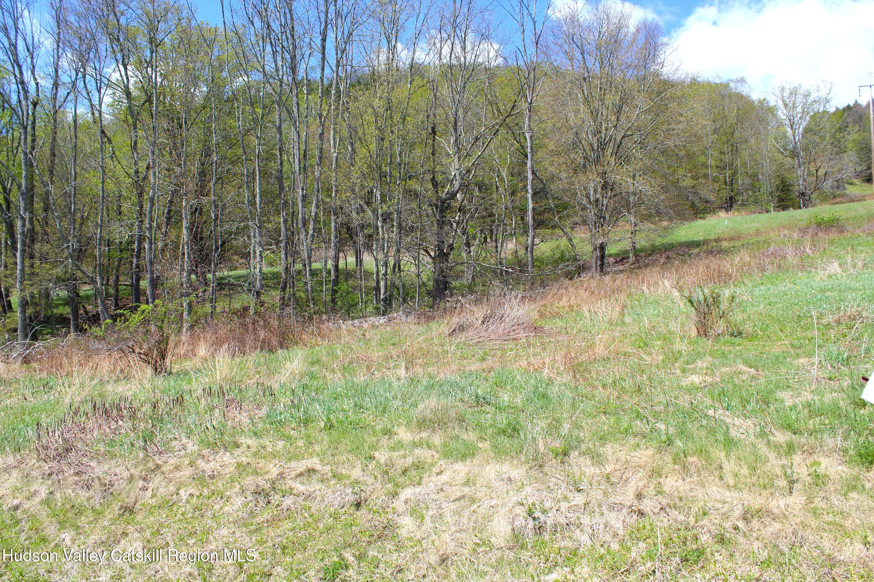 415 Deer Run Road Ashland, NY 12468 - Photo 11 of 15