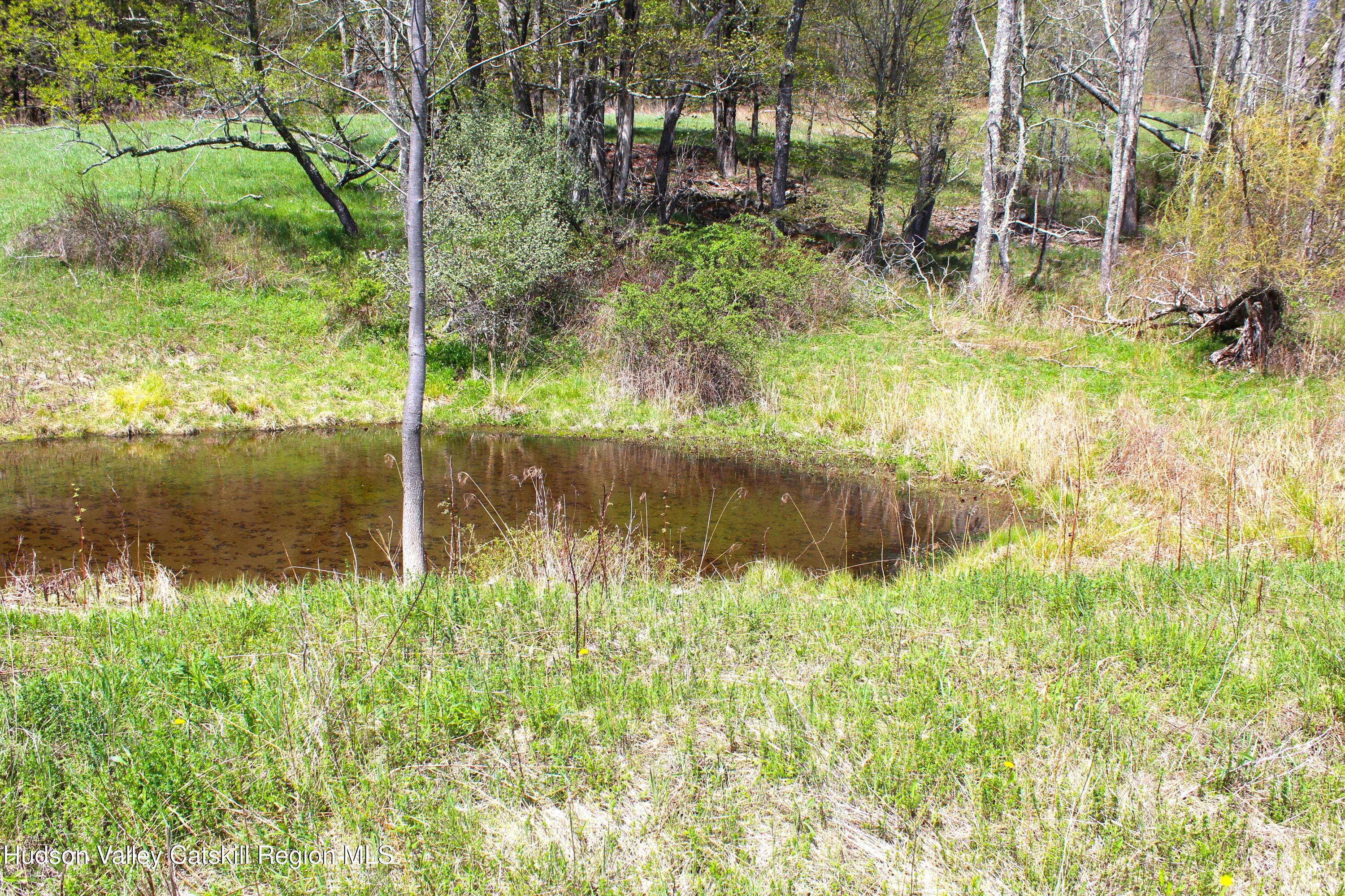 415 Deer Run Road Ashland, NY 12468 - Photo 12 of 15 a view of lake with green space