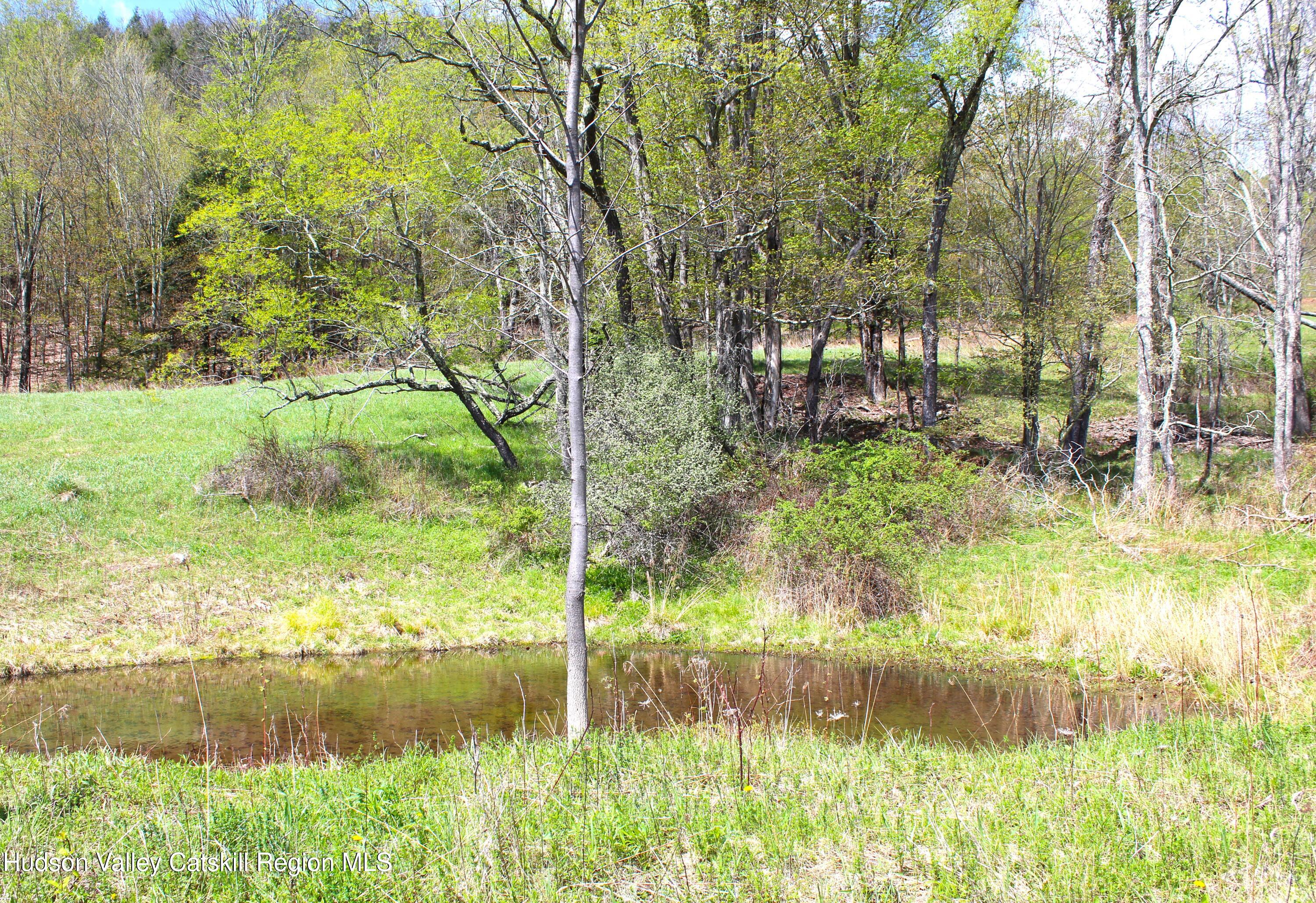 415 Deer Run Road Ashland, NY 12468 - Photo 5 of 15 a view of swimming pool from a yard
