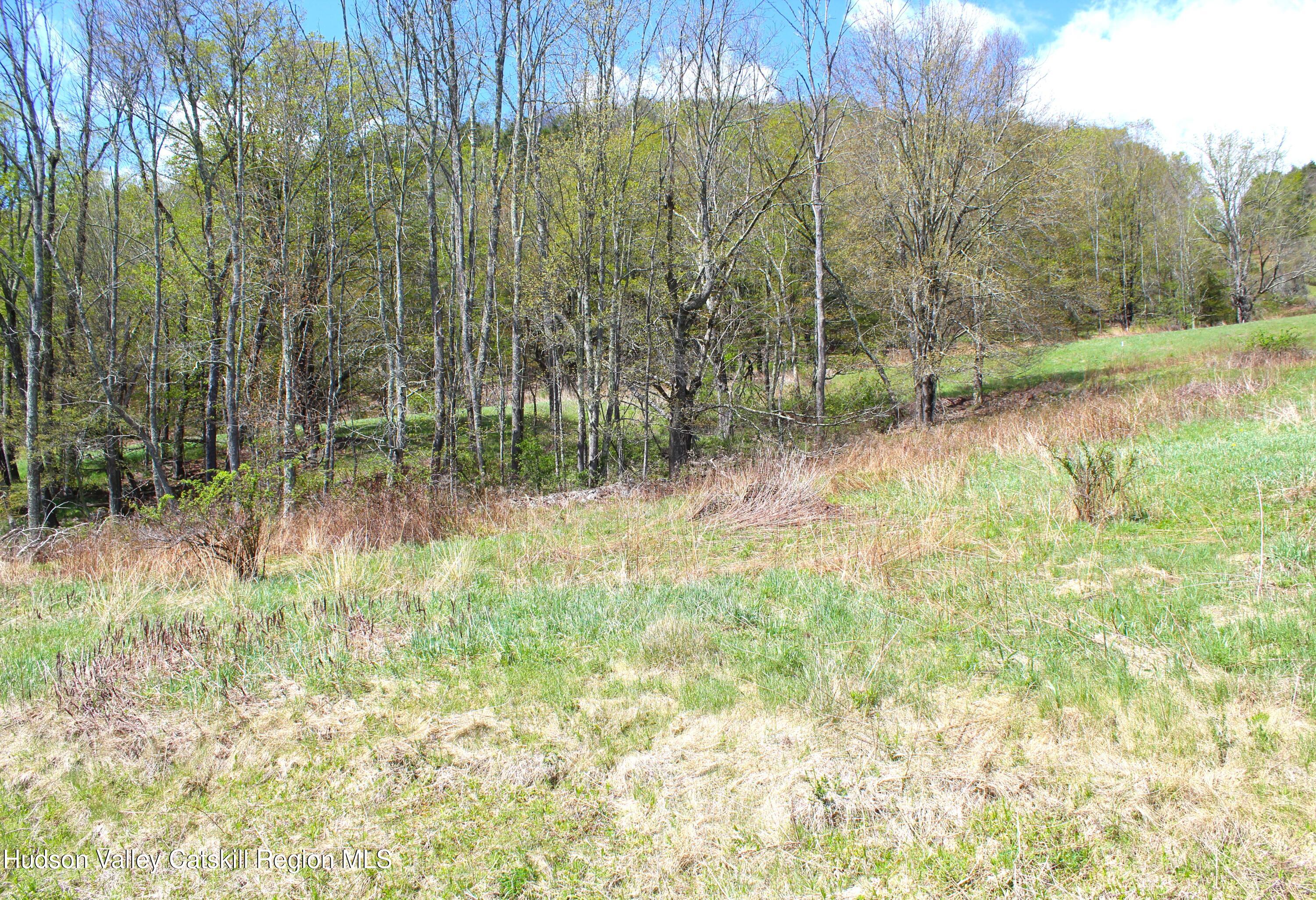 415 Deer Run Road Ashland, NY 12468 - Photo 6 of 15 a view of backyard with green space