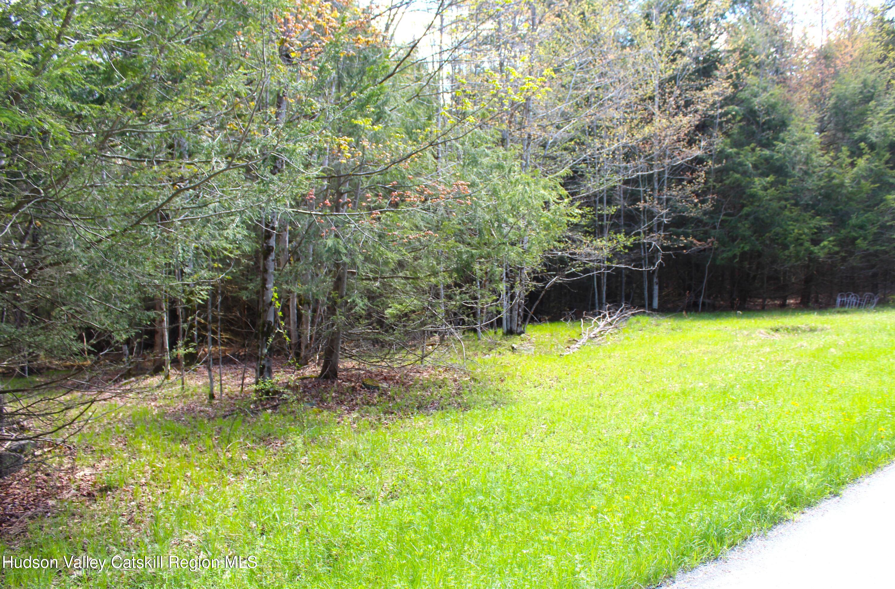415 Deer Run Road Ashland, NY 12468 - Photo 7 of 15 a view of swimming pool with a yard
