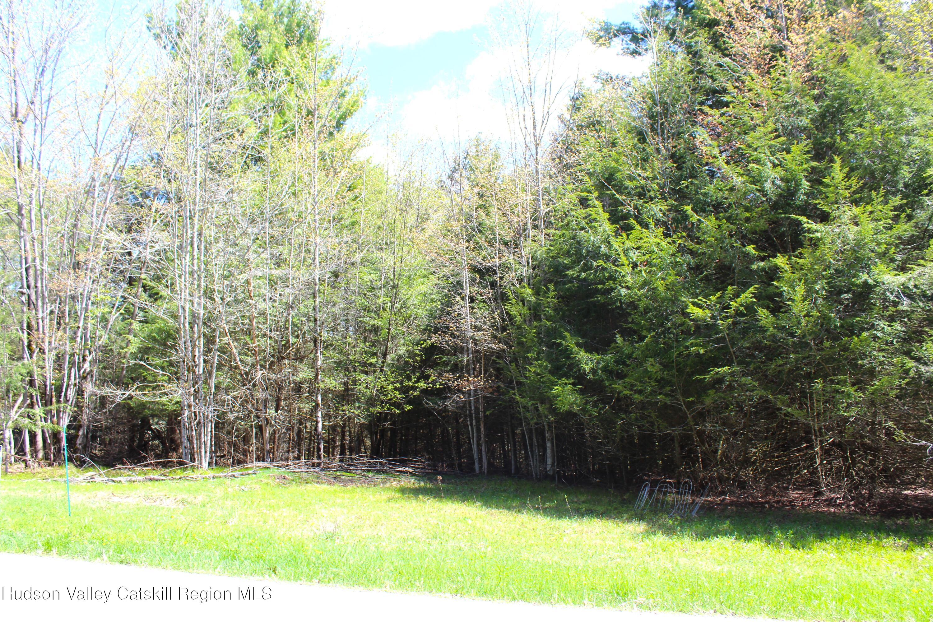 415 Deer Run Road Ashland, NY 12468 - Photo 8 of 15 a view of a backyard