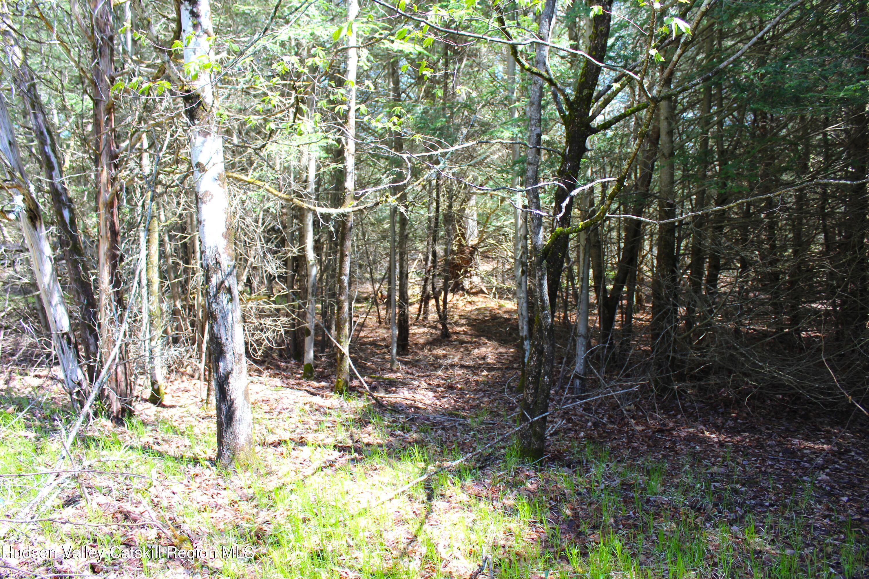 415 Deer Run Road Ashland, NY 12468 - Photo 9 of 15 a backyard of a house with lots of green space