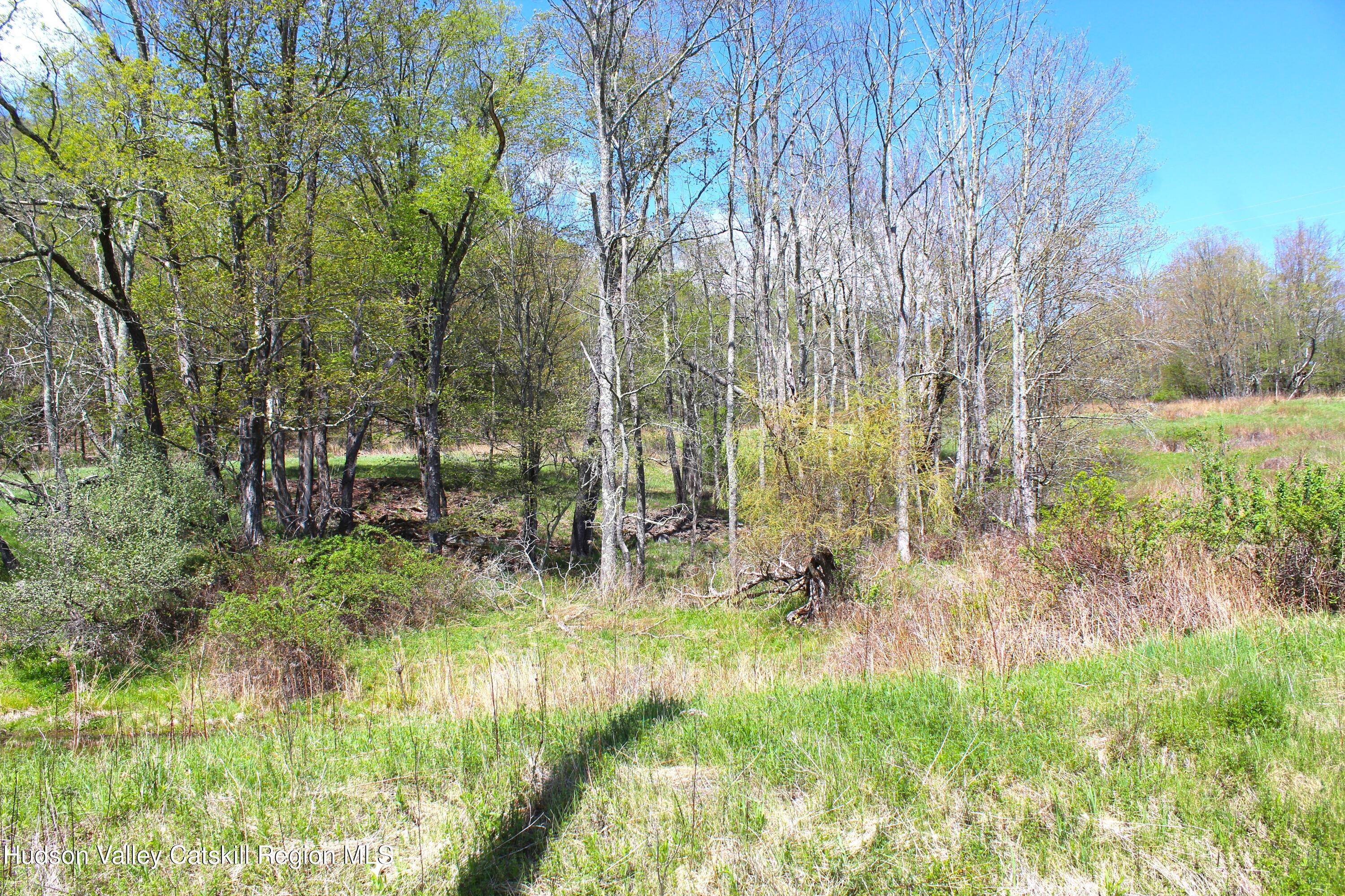 415 Deer Run Road Ashland, NY 12468 - Photo 10 of 15 a view of outdoor space and yard