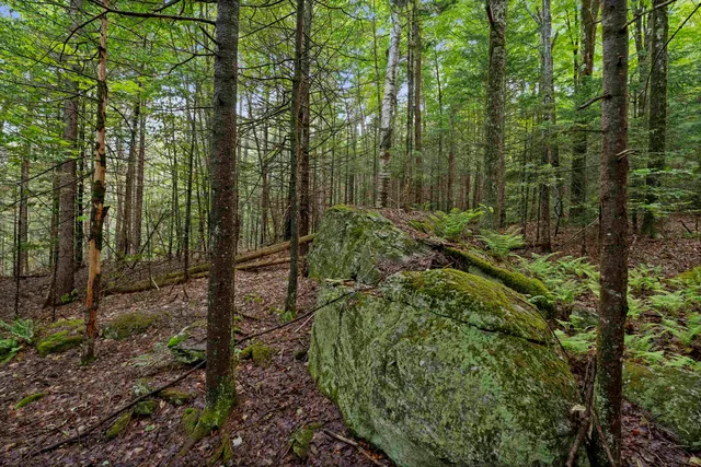 $342,000 | 11 Old County Road East, Landgrove, VT 05148