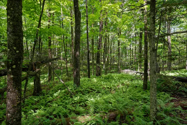 $342,000 | 11 Old County Road East, Landgrove, VT 05148