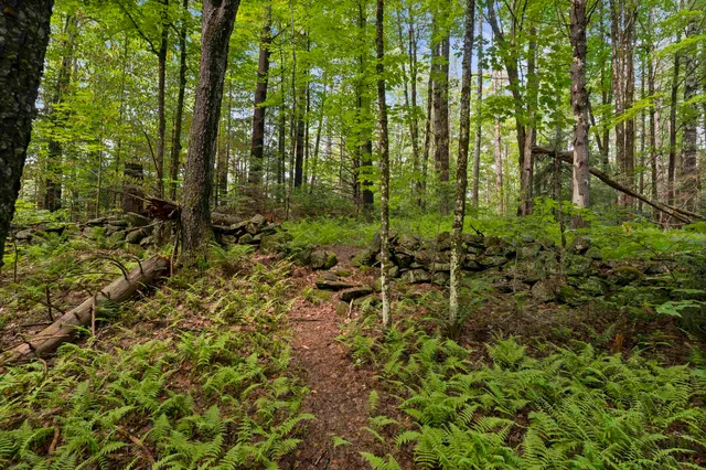 $342,000 | 11 Old County Road East, Landgrove, VT 05148