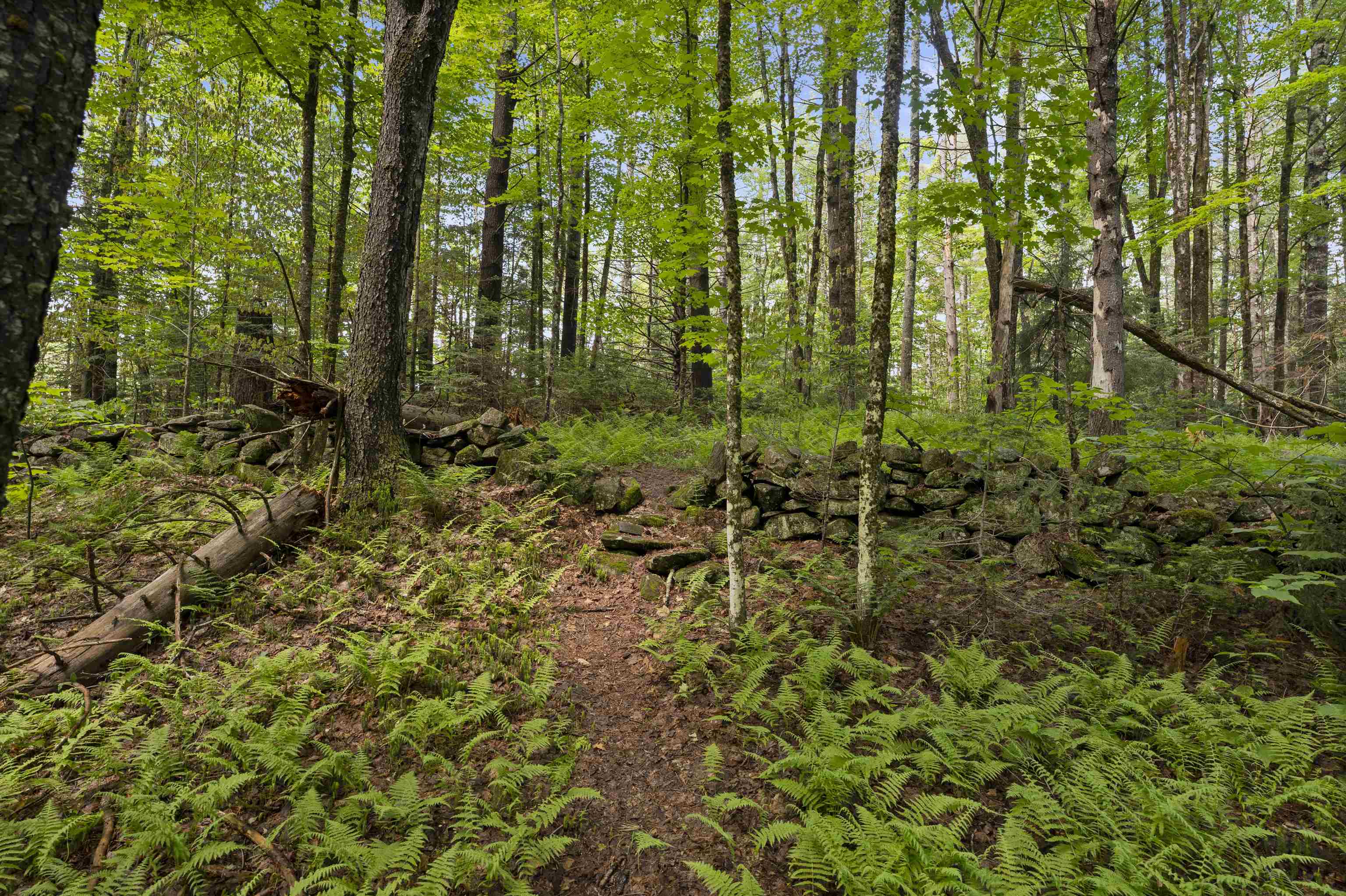 11 Old County Road East Landgrove, VT 05148 - Photo 8 of 10