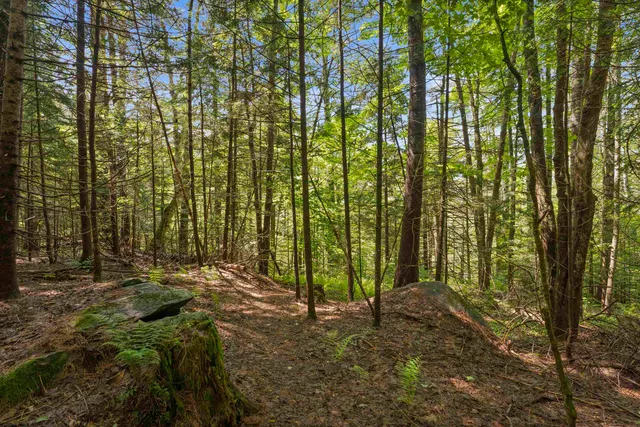 $342,000 | 11 Old County Road East, Landgrove, VT 05148