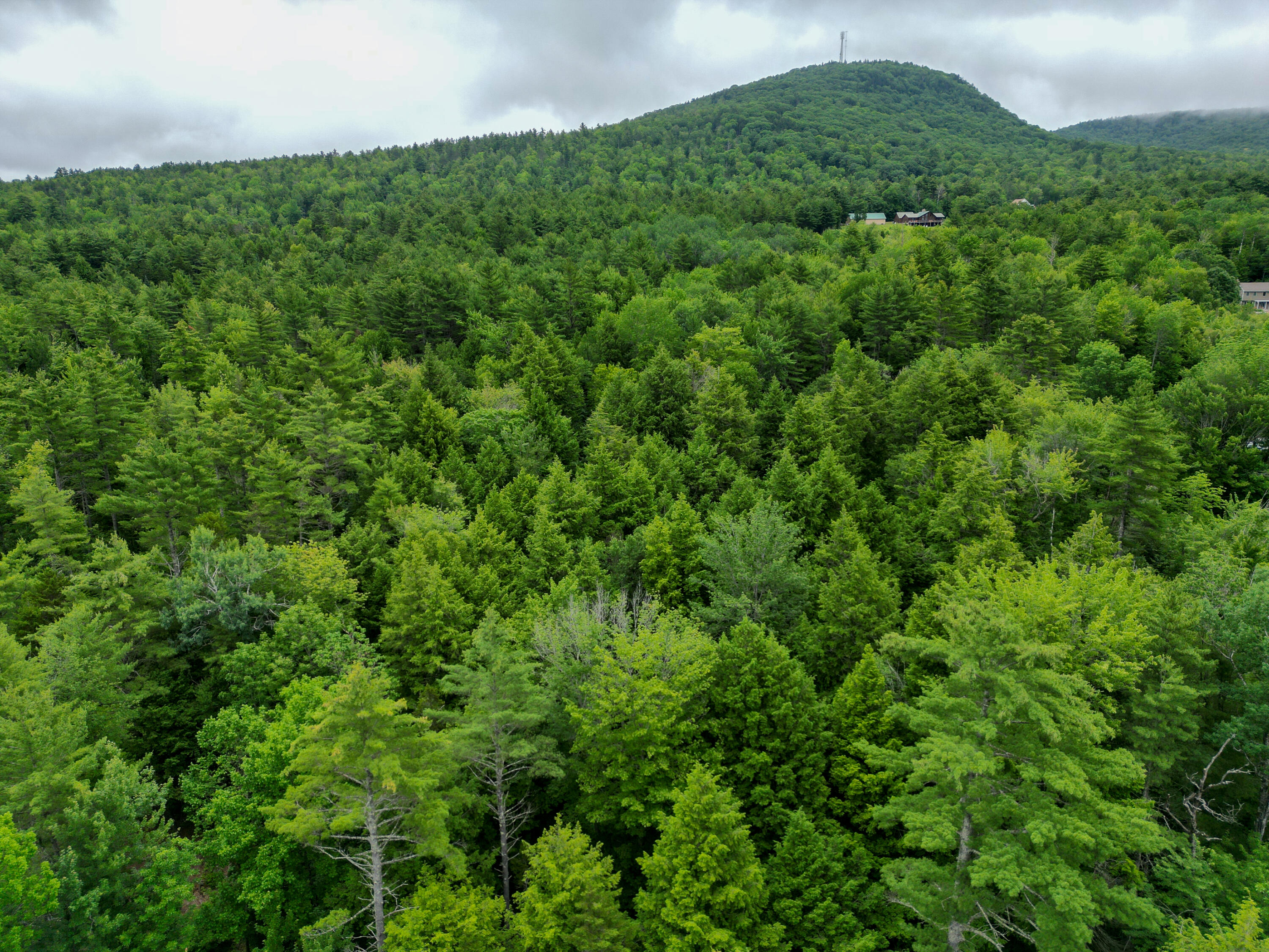 Lot 30 Irish Neighborhood Road Bethel, ME 04217 - Photo 22 of 24 DJI_0627