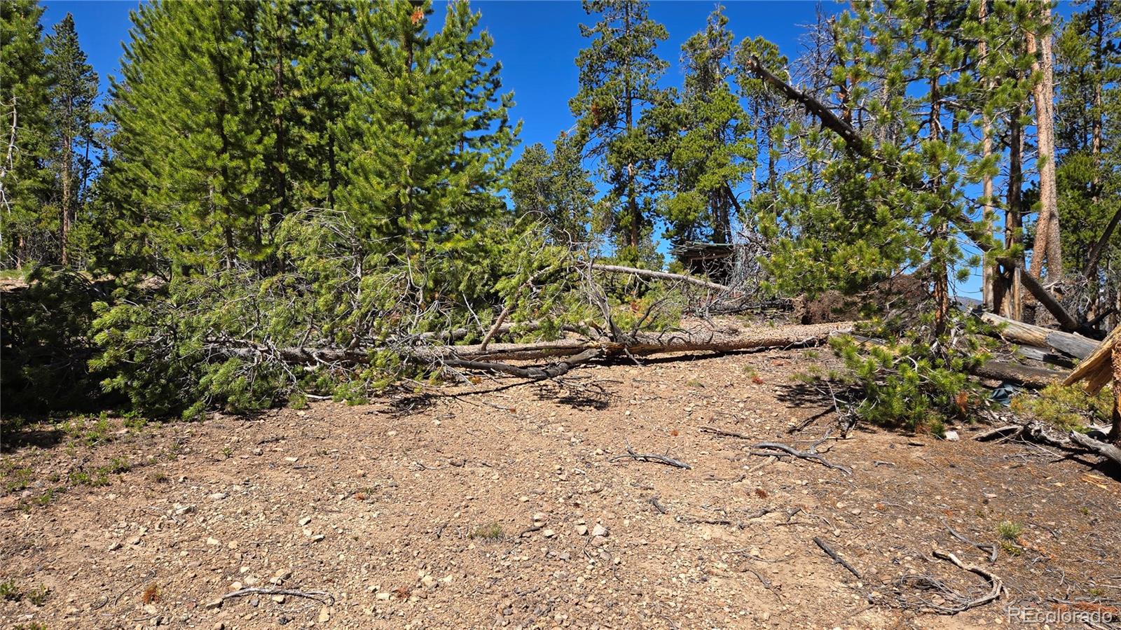 0 Summit Gulch Road Breckenridge, CO 80424 - Photo 30 of 31