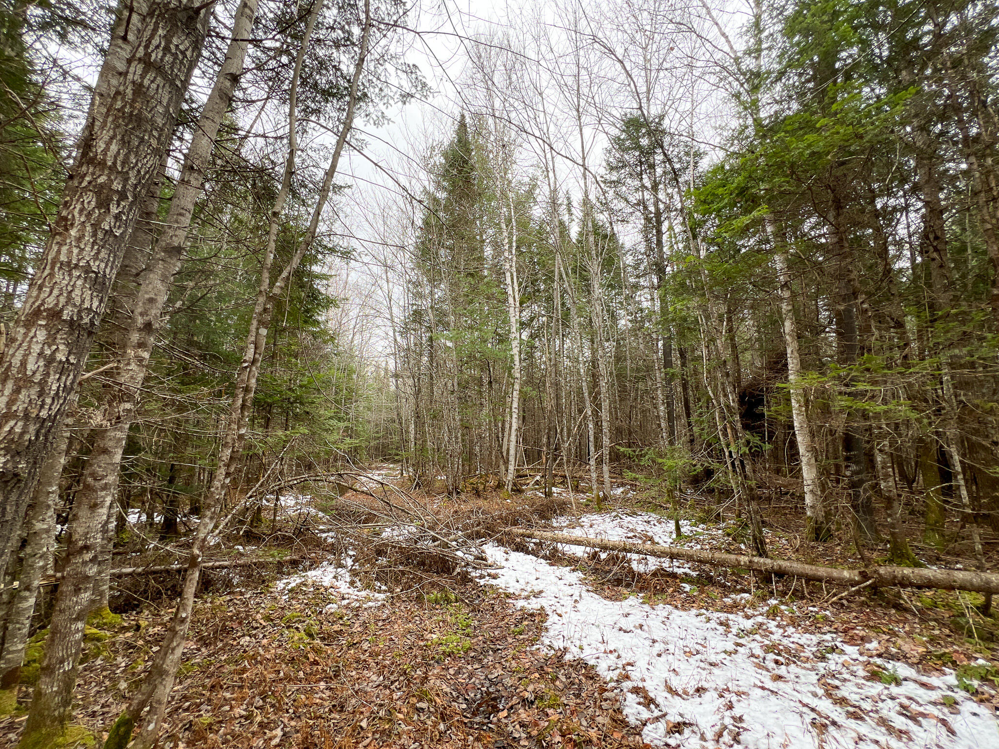 Lot 4 Lower Drew Road Springfield, ME 04487 - Photo 16 of 24 9