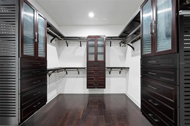 a view of a yard with plants and trees