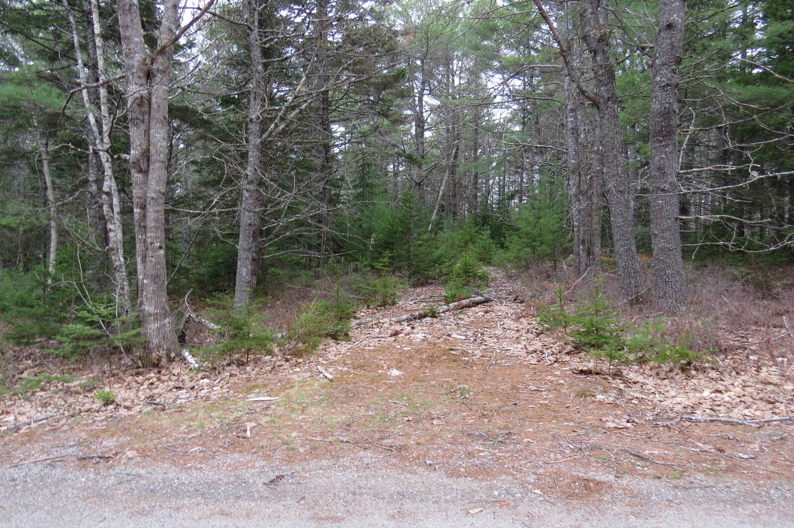 23 Porcupine Road Sullivan, ME 04664 - Photo 2 of 27 IMG_0213