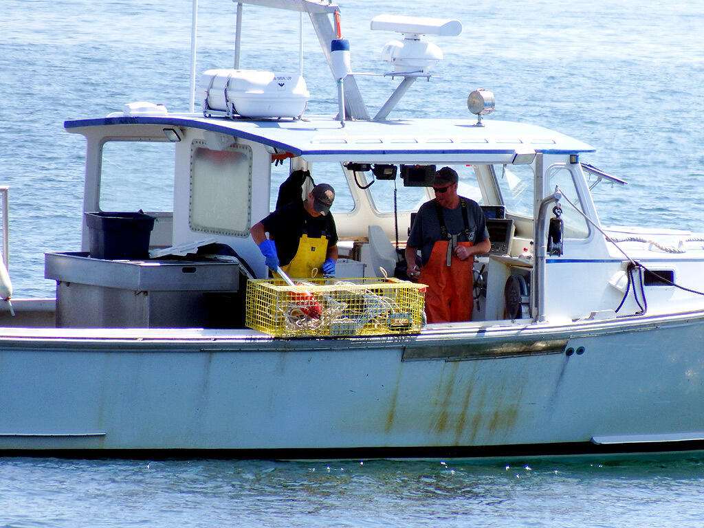 109 Little Machias Road Cutler, ME 04626 - Photo 88 of 93 lobster-maineboat3