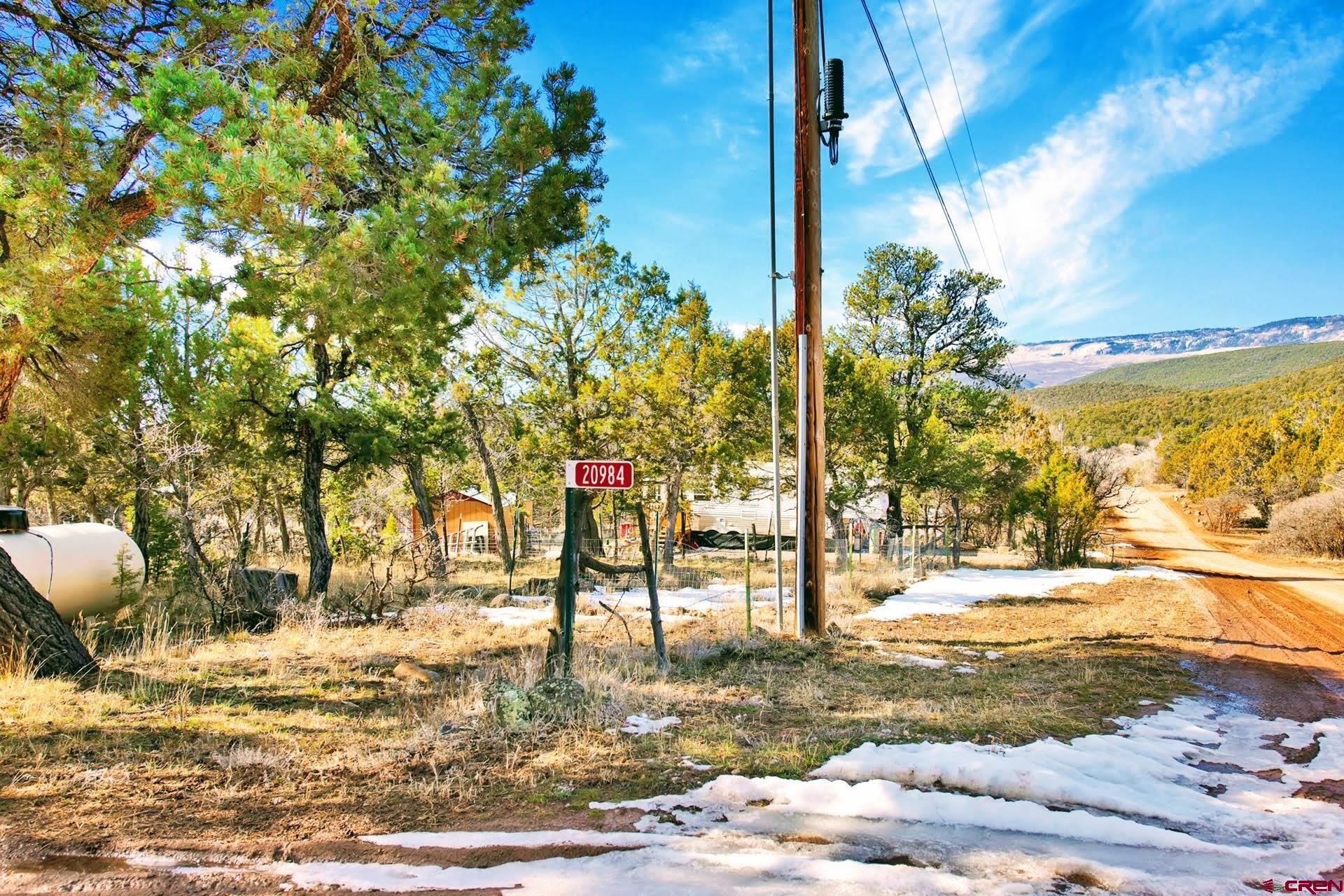 20984 Upland Road Cedaredge, CO 81413 - Photo 34 of 34 a view of a yard with an tree