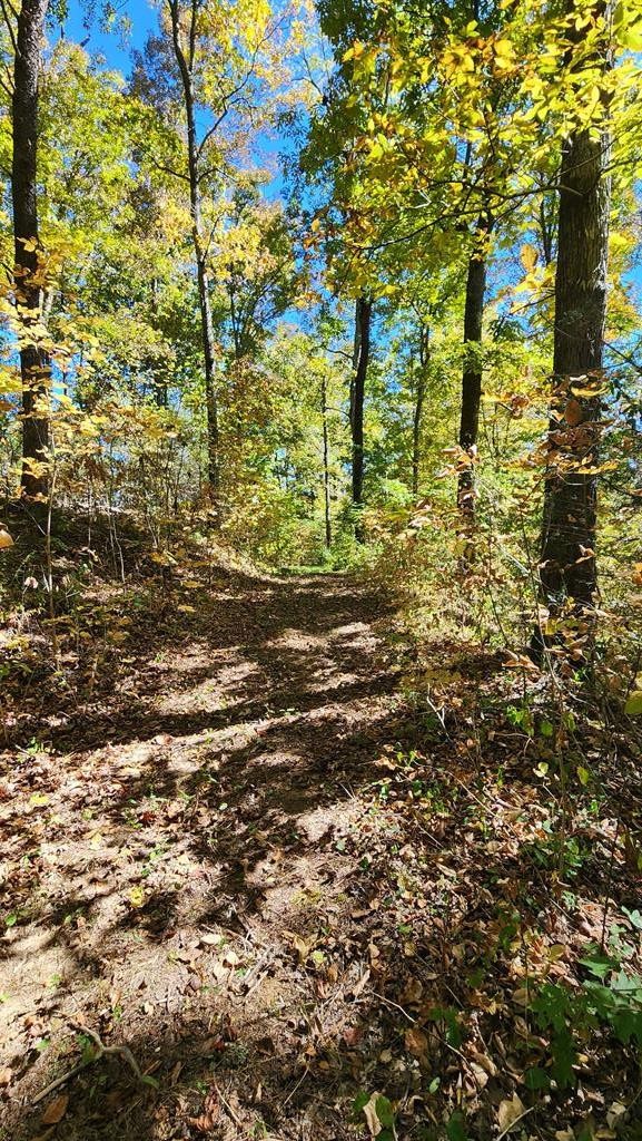 0 Reagan Branch Road Seymour, TN 37865 - Photo 27 of 31
