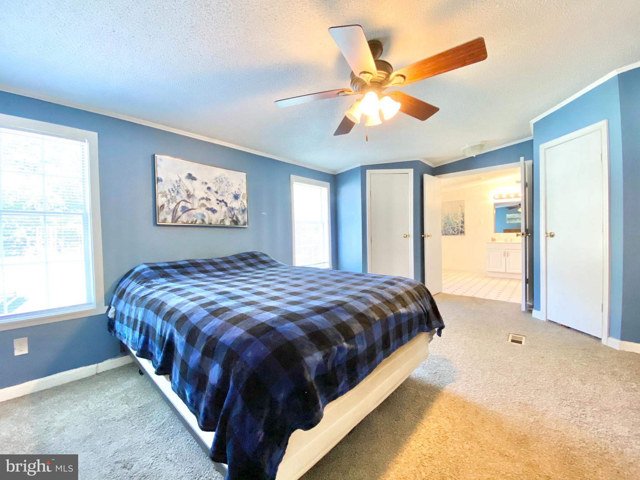 100 Christopher Road Warwick, MD 21912 - Photo 15 of 31 Owner's suite with full bath