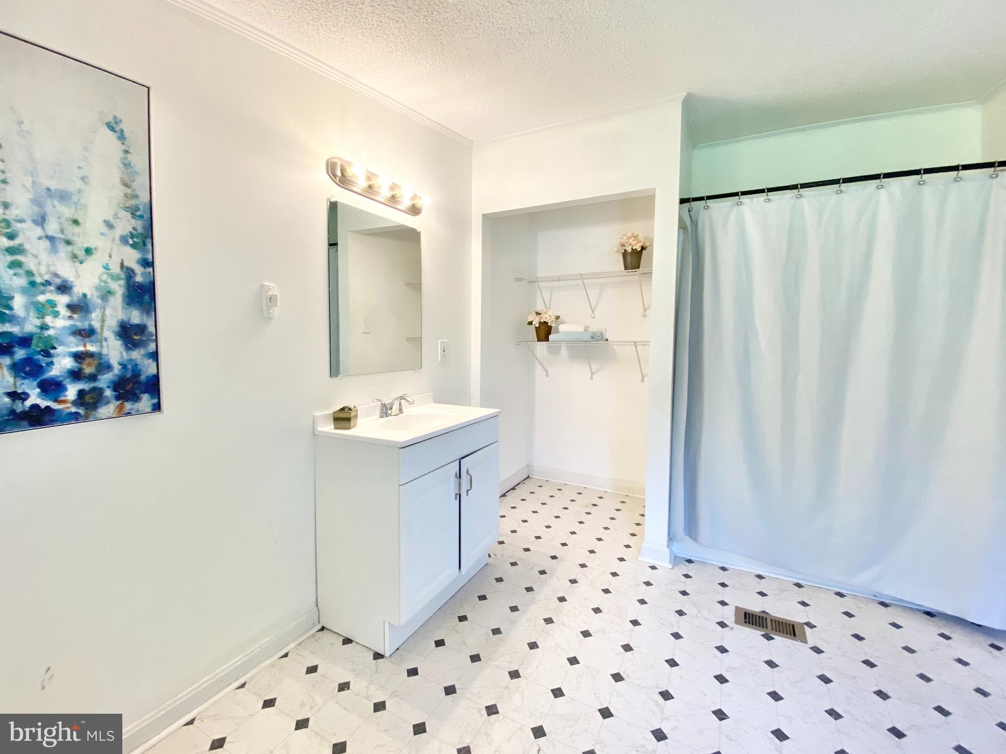 100 Christopher Road Warwick, MD 21912 - Photo 16 of 31 Ensuite bath