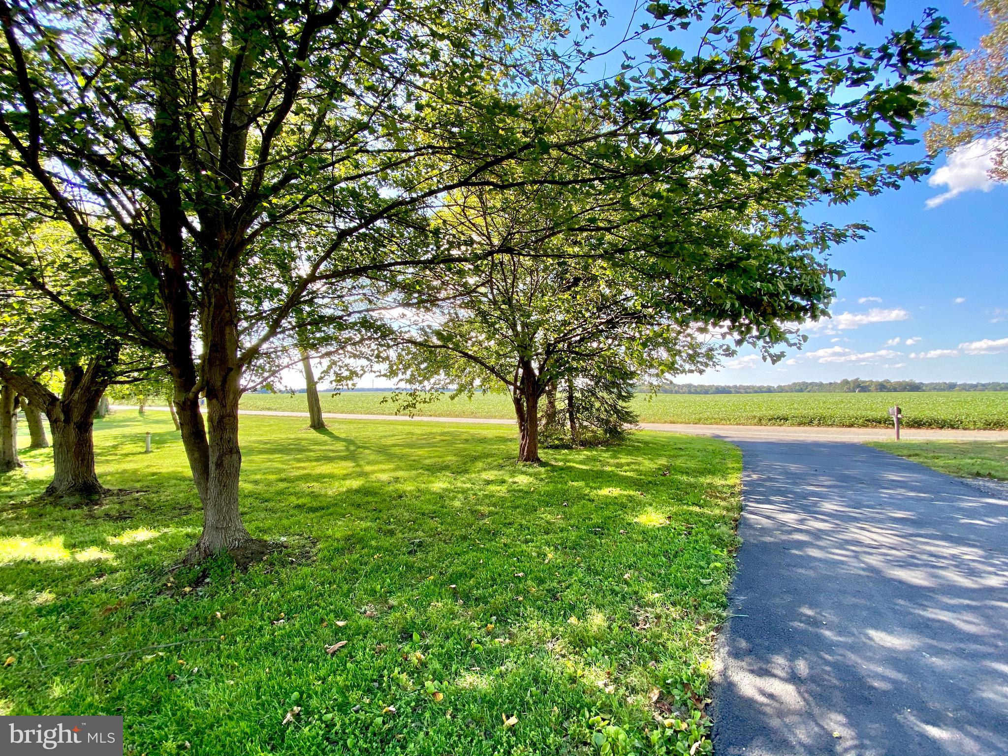 100 Christopher Road Warwick, MD 21912 - Photo 30 of 31 Pastoral Views