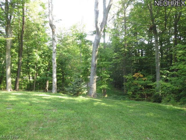 7780 Emerald Run Road Medina, OH 44256 - Photo 17 of 18