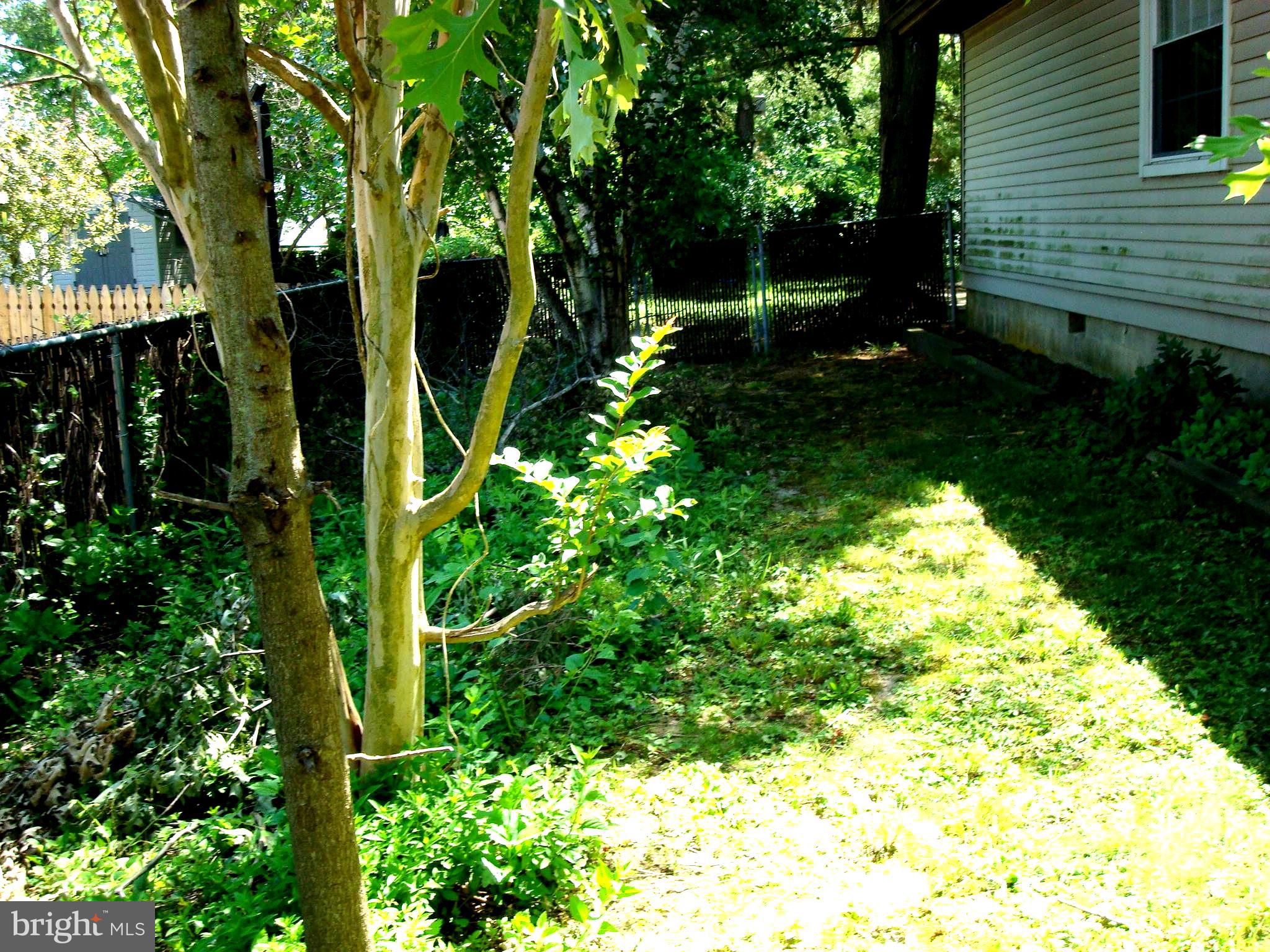 215 South Warwick Road Magnolia, NJ 08049 - Photo 19 of 23 Gallery Image 19