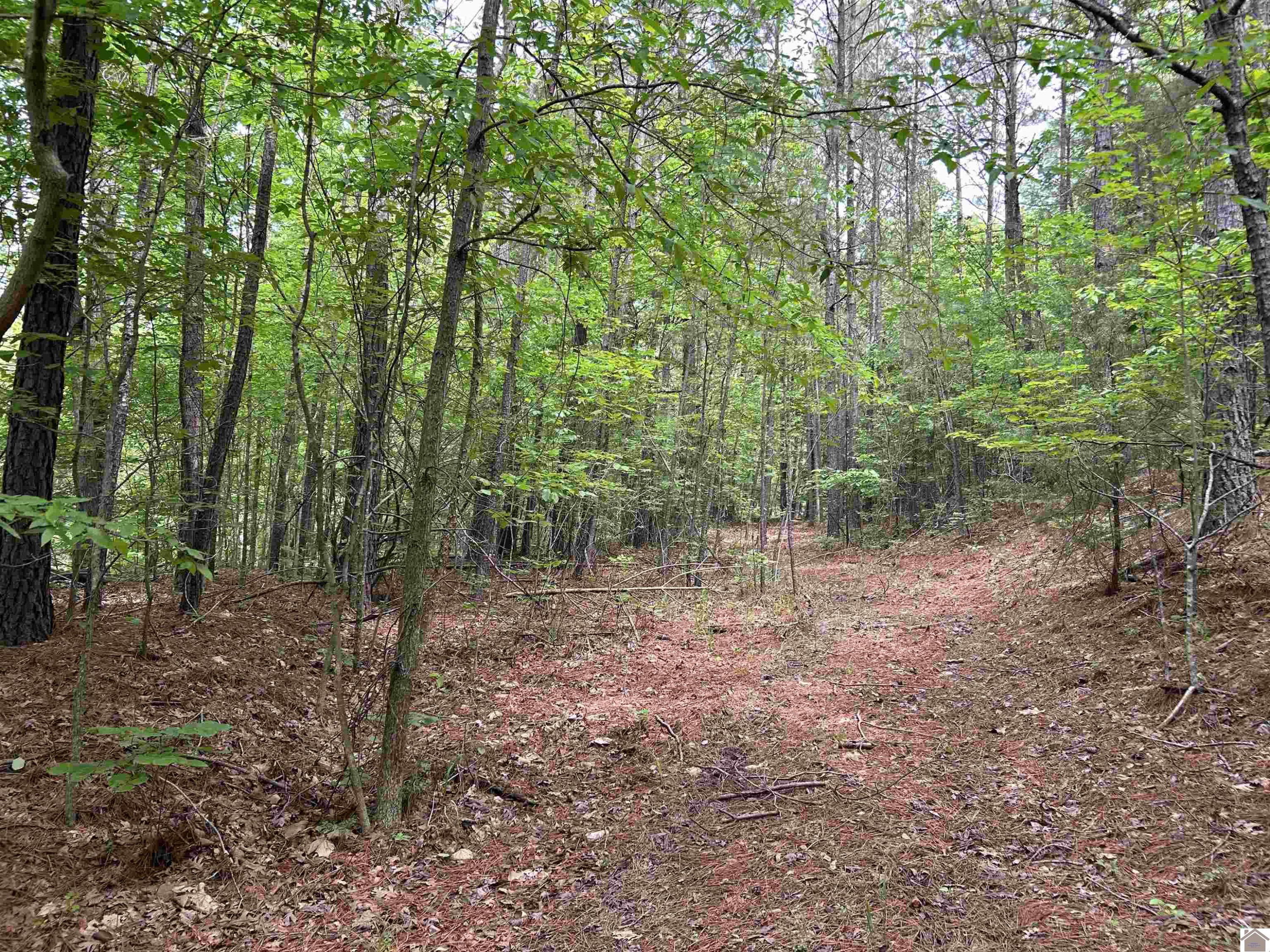 0 Jonathan Point Benton, KY 42025 - Photo 2 of 7 Photo 2