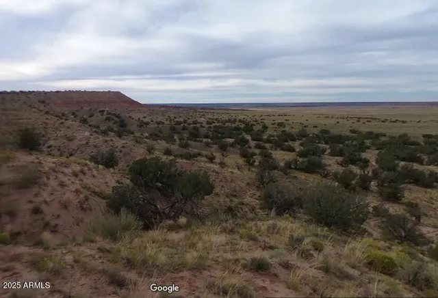 a view of a city with lush green forest