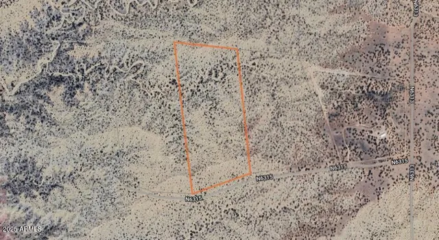 a view of a dry yard