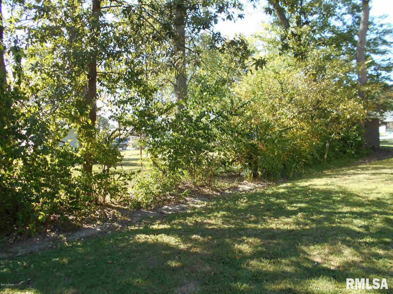802 East 3rd Street Flora, IL 62839 - Photo 27 of 30 Gallery Image 27