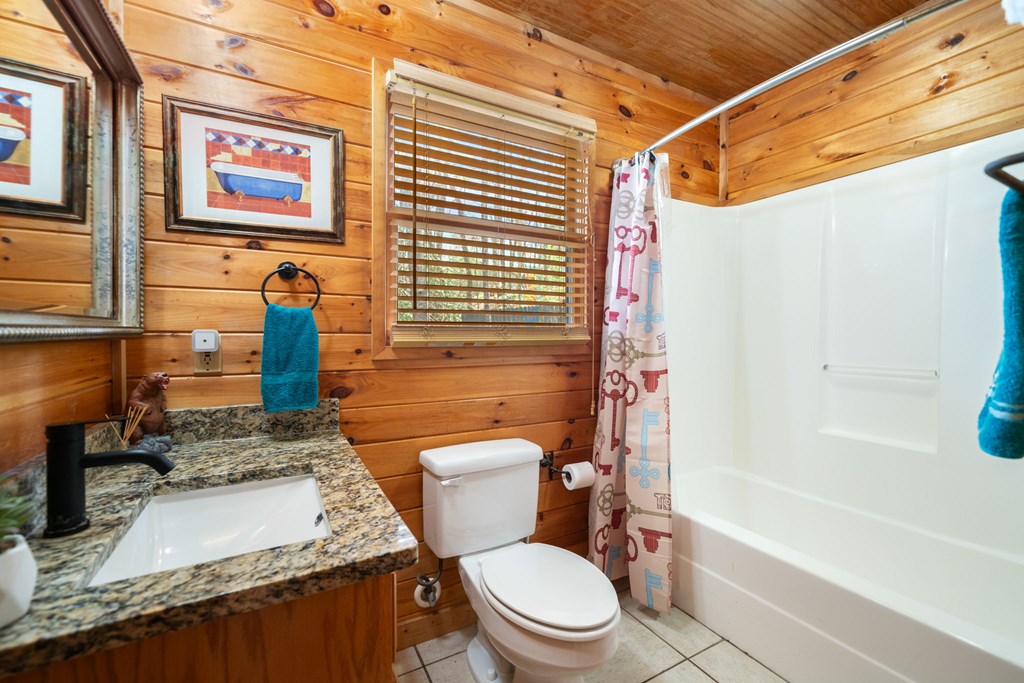 27 Alpine Drive Ellijay, GA 30540 - Photo 16 of 57