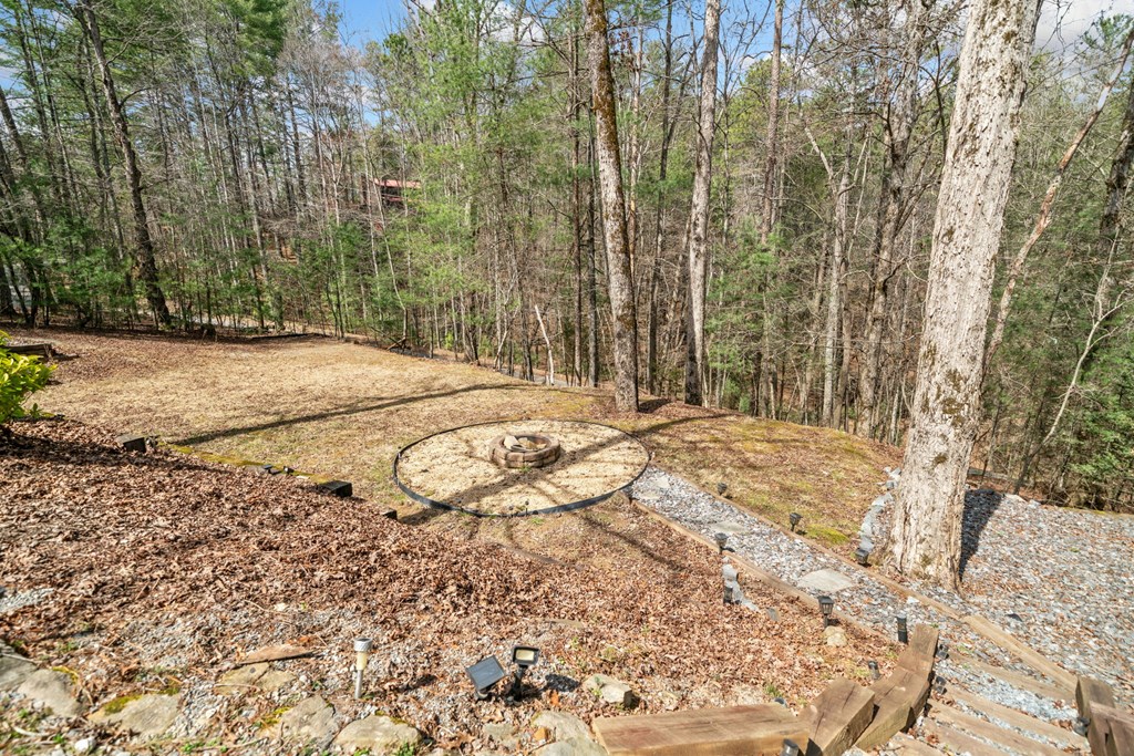 27 Alpine Drive Ellijay, GA 30540 - Photo 20 of 57