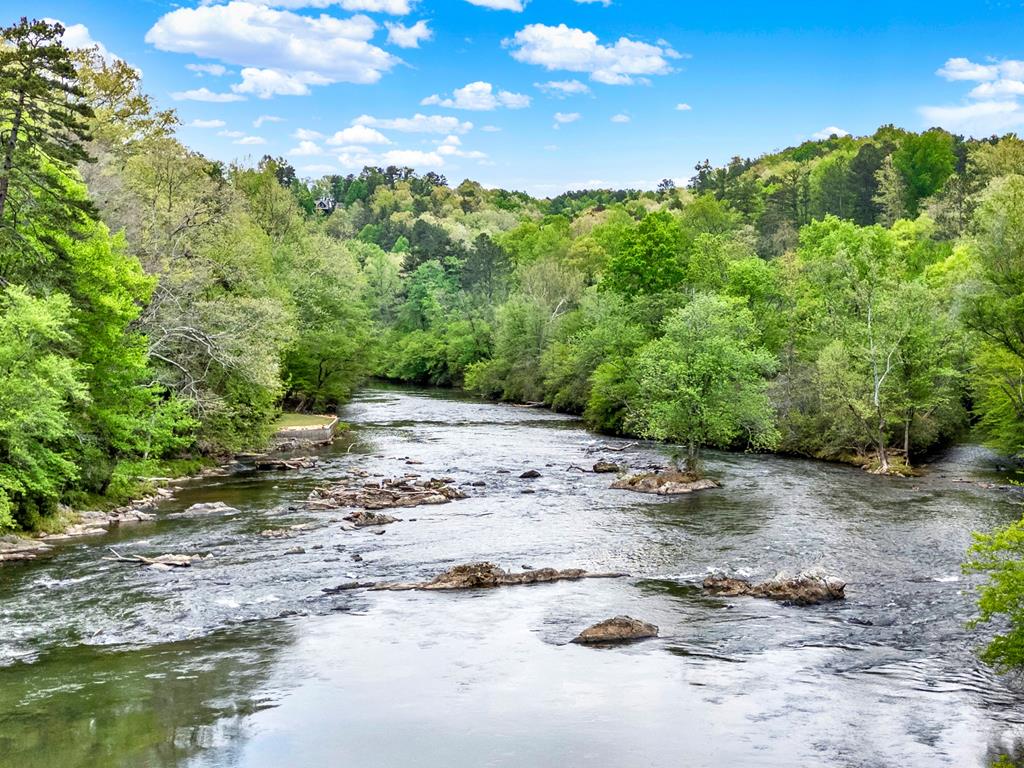 27 Alpine Drive Ellijay, GA 30540 - Photo 53 of 57
