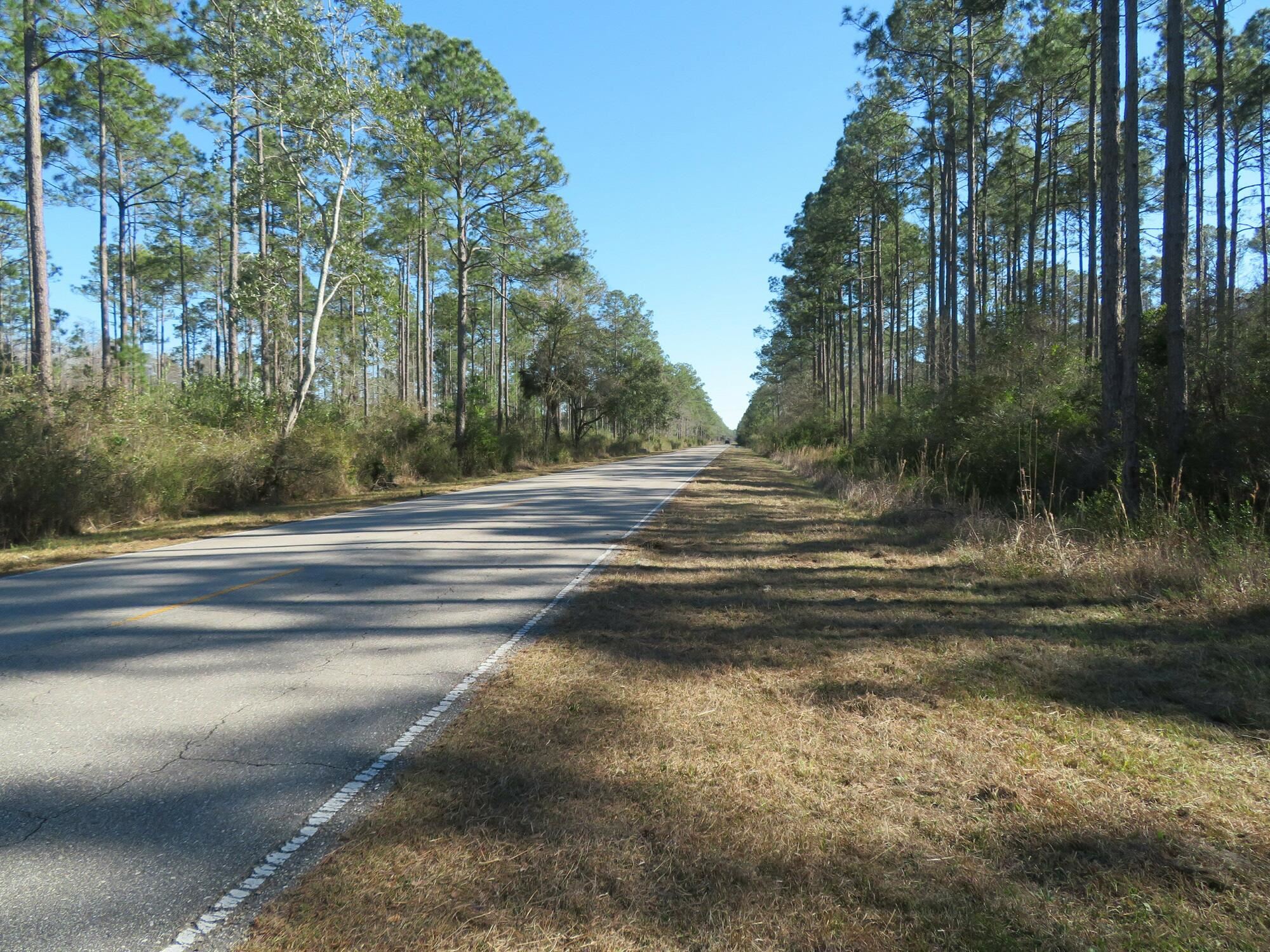 Lighthouse Road Crawfordville, FL 32327 - Photo 6 of 9
