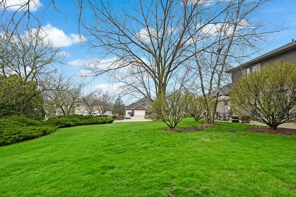 a backyard of a house with large trees and plants