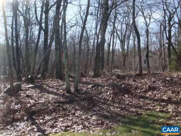 $48,000 | Lot 6 Devils Bend, Roseland, VA 22967