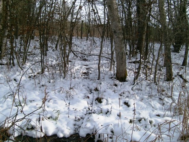 6434 Maple Hill Road Southwest Fife Lake, MI 49633 - Photo 70 of 73 1825651-69.JPG