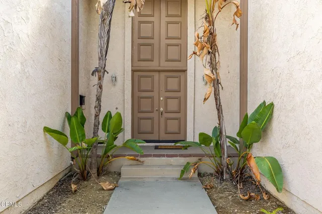 a view of a potted plant sitting in front of a door