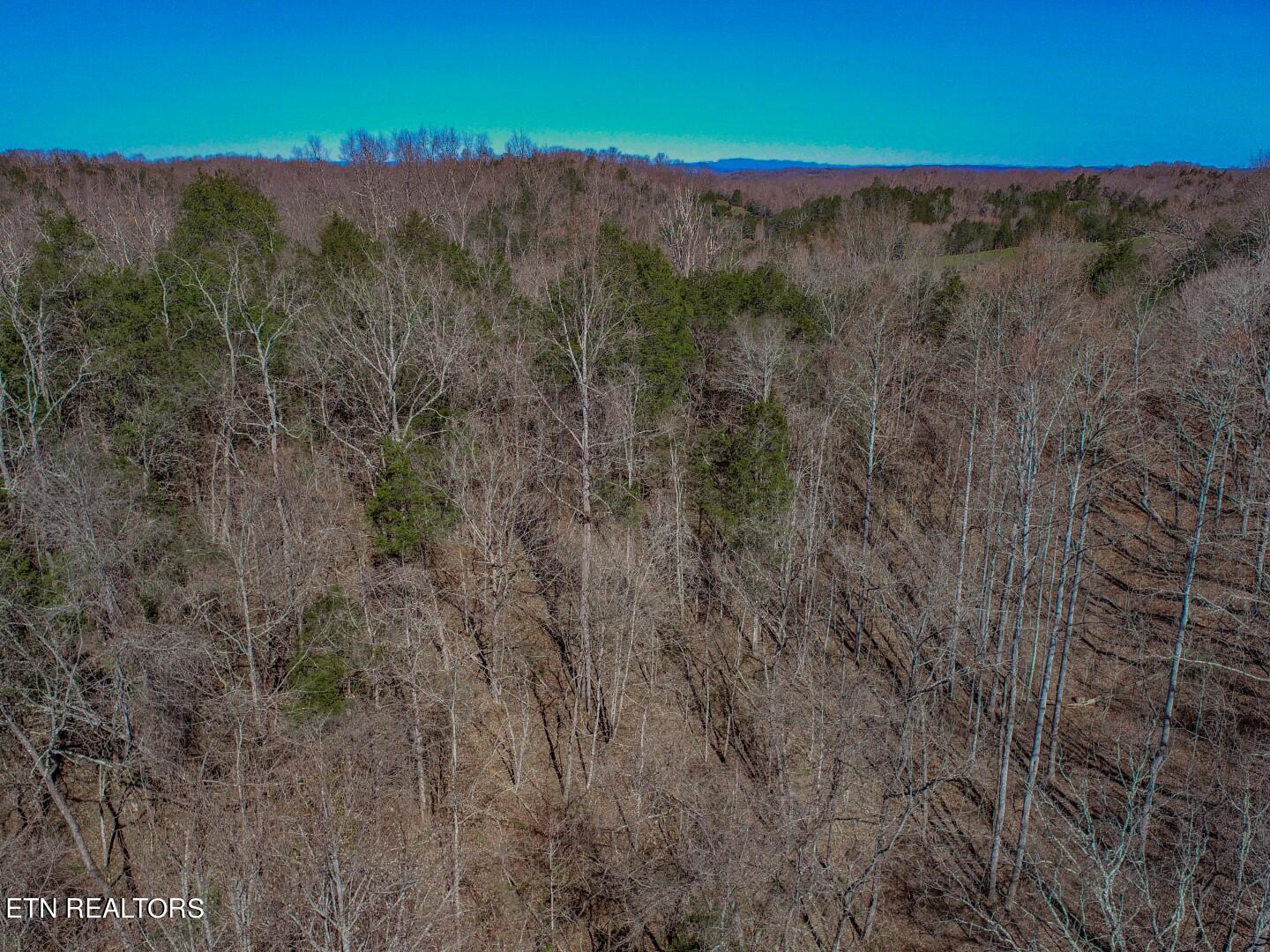 2922 Crossfield Way Bybee, TN 37713 - Photo 13 of 27 13