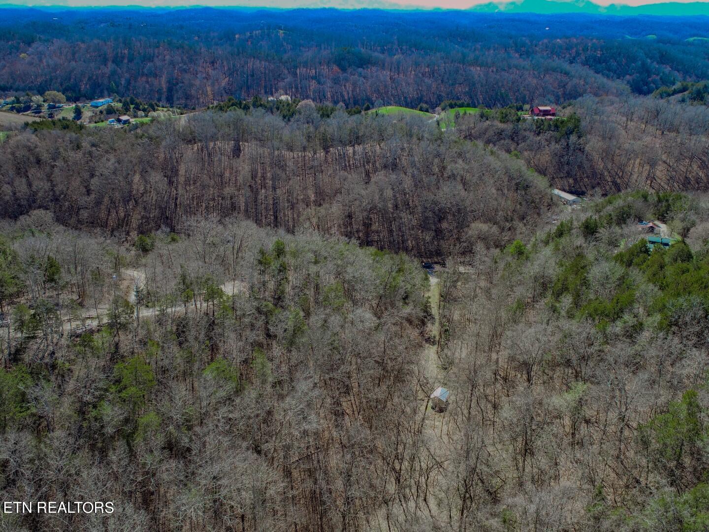 2922 Crossfield Way Bybee, TN 37713 - Photo 8 of 27 8