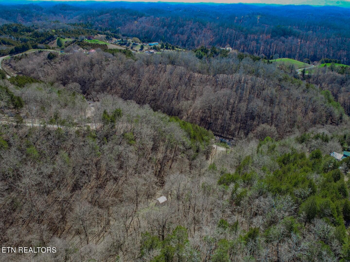 2922 Crossfield Way Bybee, TN 37713 - Photo 9 of 27 9
