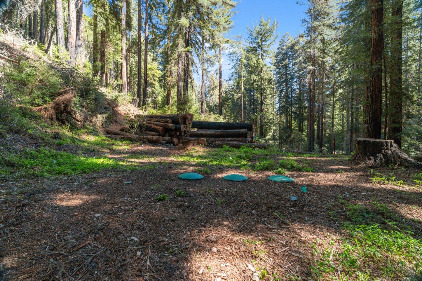 11800 Clear Creek Road Brookdale, CA 95007 - Photo 30 of 49