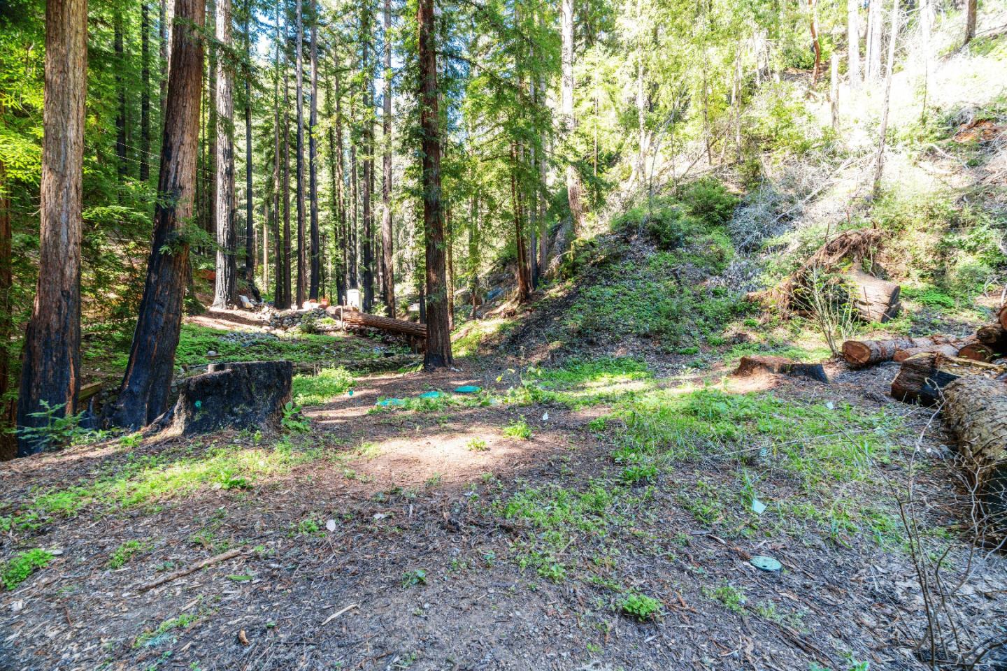 11800 Clear Creek Road Brookdale, CA 95007 - Photo 5 of 49